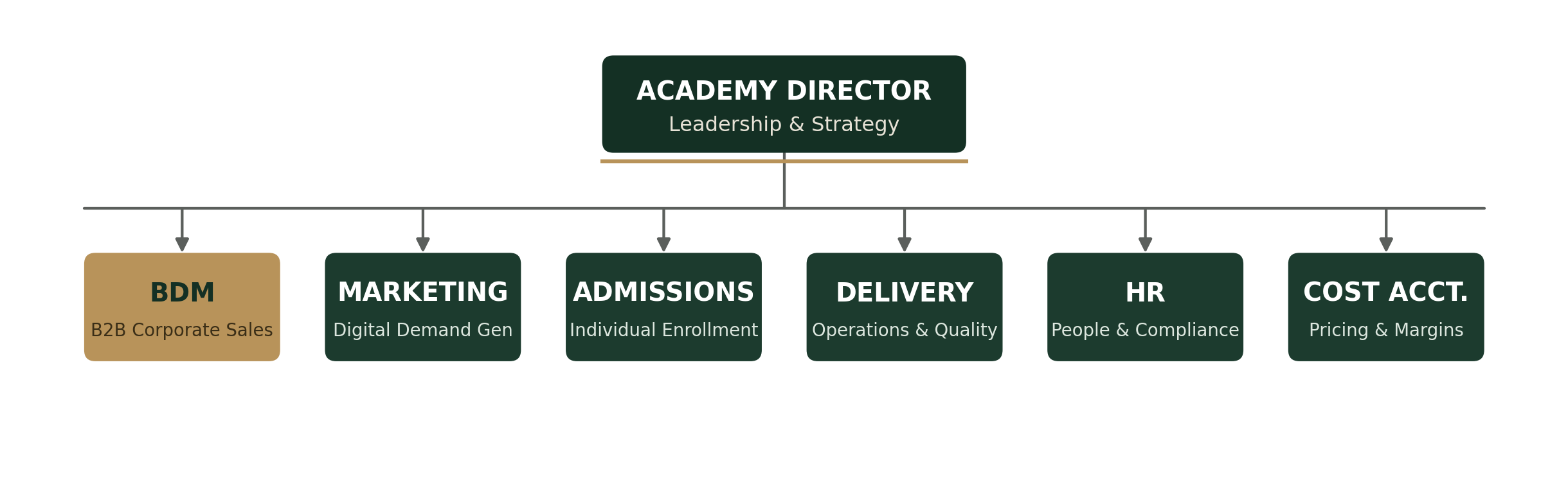 Cairo Photo Academy organizational chart: Academy Director at the top, with BDM, Marketing, Admissions, Delivery, HR, and Cost Accountant reporting in